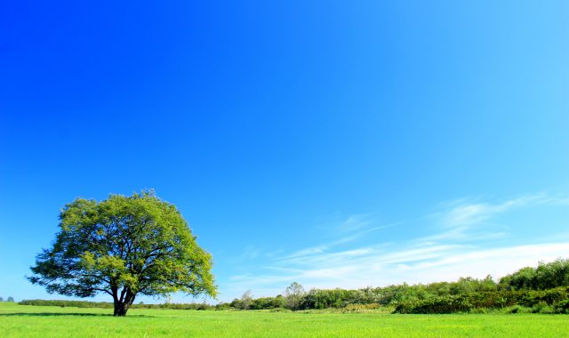 死因贈与契約とは、どんな契約か？