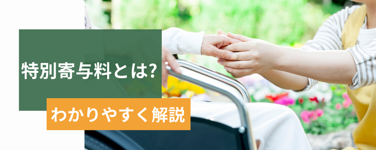特別寄与料とは?わかりやすく解説
